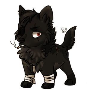 Meet your Posher, Robertw